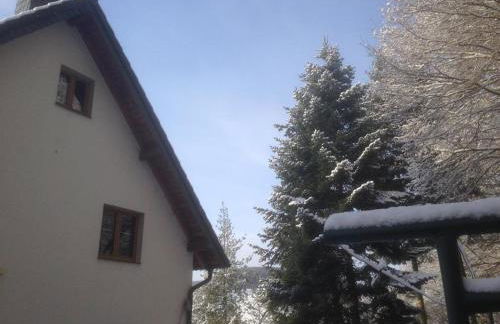 Ferienhaus Ginkgo Biloba - Foto 37