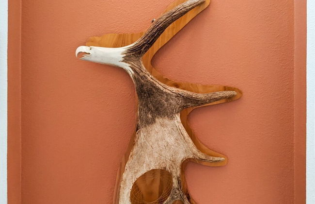 5 Bed 8002 - Foto 41