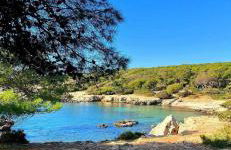 Tanza in Vetrina 2024 - Foto 56