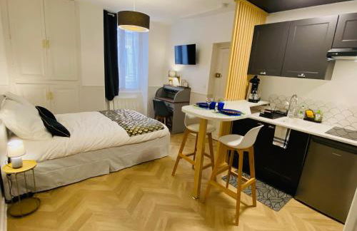 Le Studio Haslay SERAUCOURT en plein cœur de ville de BOURGES - Charme de l ancien et confort contemporain - Foto 14