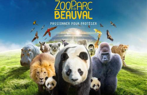 Studio & Gîte Zen de Beauval- 800 m du Zooparc - Photo 39