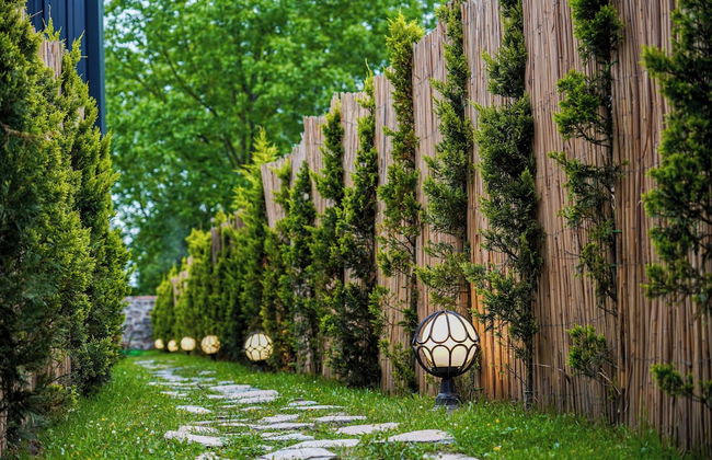 Vital Home - Foto 63