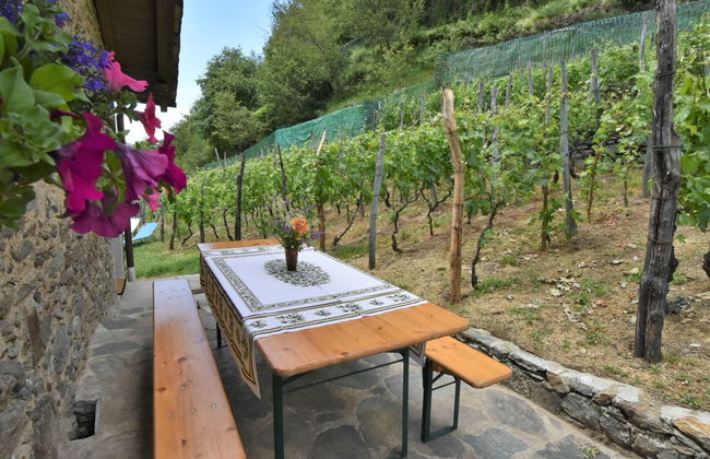 Rustico Rebustella - Foto 23