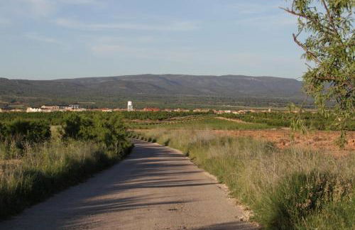 Casa Aurora, mi aldea ,entre viñas y almendros - Foto 6