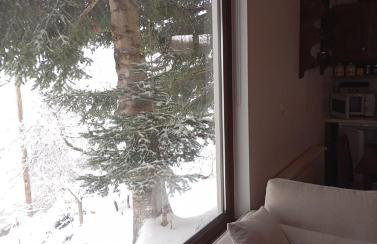 Ξενώνας Το Πατρικό - Foto 44