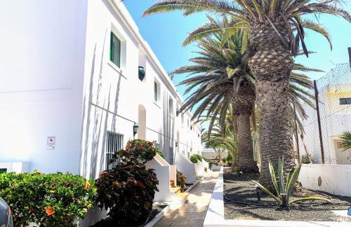 Buganvilla - Photo 36