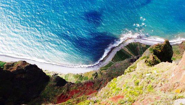 Funchal Dolphin Watching & Jeep Tour - Foto 5