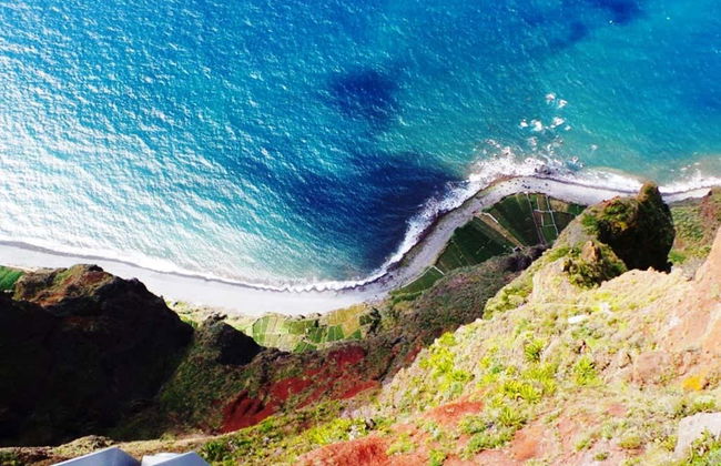 Funchal Dolphin Watching & Jeep Tour - Photo 5