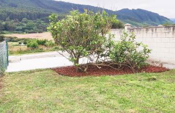 Casa Viveiro - Foto 10