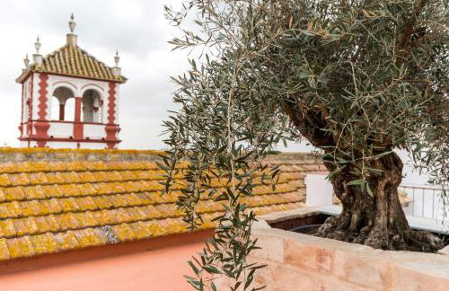 Casa Palacio de la Carrera Olehousing - Foto 30