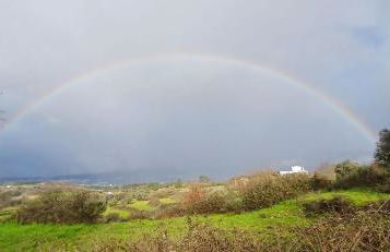 Quinta da Portela - Foto 30