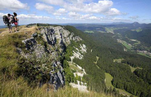Le Refuge des Loups Blancs 12 pers - Foto 15