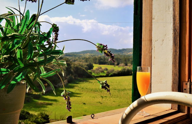 Son Sant Andreu - Foto 35