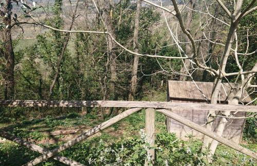 Casa campagna bosco - Foto 10