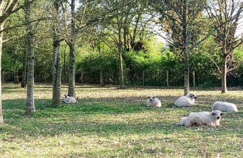 Les Clés Nature Studio 41 - Foto 19