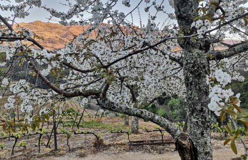 Quinta Barqueiros D'Ouro - Casa da Música - Photo 57