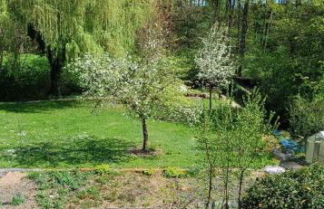 Wohnung in Medlitz - Foto 23