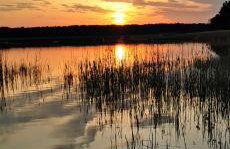 Król Puszczy - unikatowy dom, jezioro 80m, szlak Krutyni - Foto 42