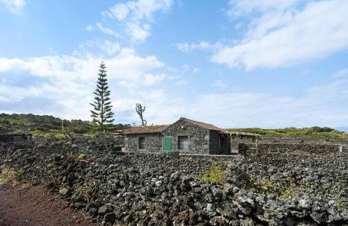 Adega Maciel - Photo 27