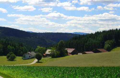 Ferienhof Schmalzgrub - Foto 6