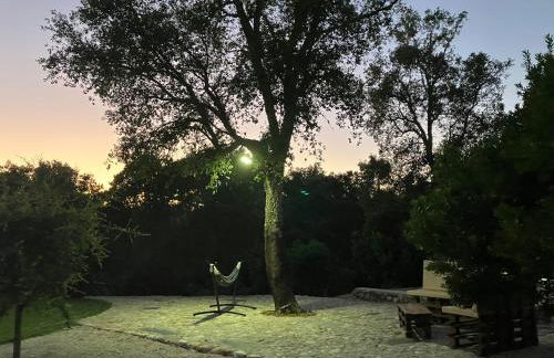 Quinta da Meda - Foto 36