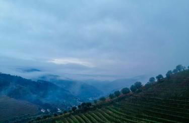 Quinta de Baixo - Photo 27