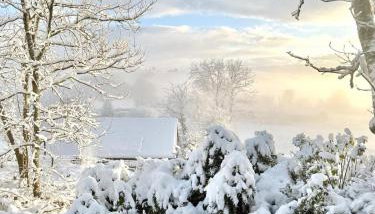 Trawsfynydd Stone Cottage - Foto 2