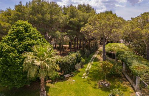 Tenuta Il Carretto - Foto 37