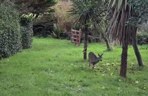 3 Bed in Kirkcolm oc-b34009 - Foto 44