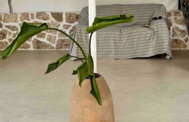 Ancient Pydna Paradise - Foto 24