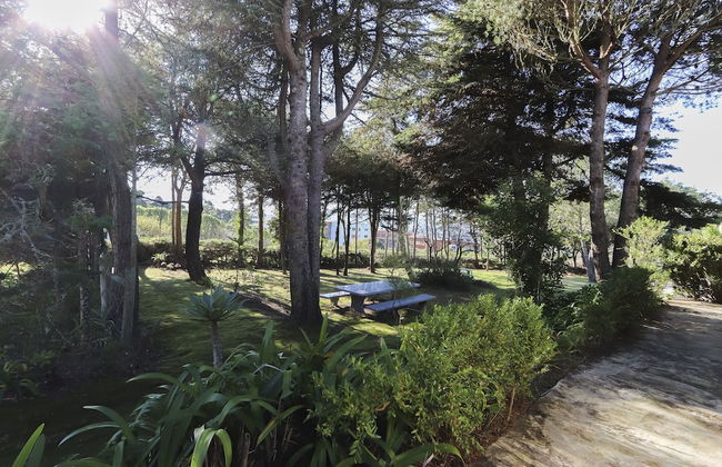 Sintra Classic Villa by Homing - Foto 78