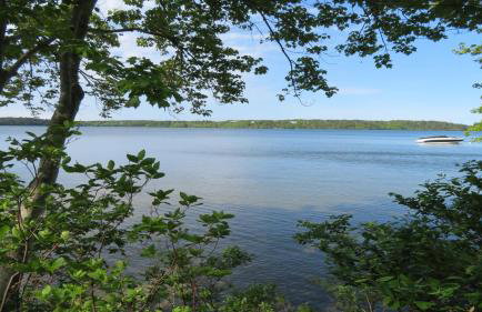 160 Long Pond Drive Harwich Cape Cod - Old Camp - Foto 40