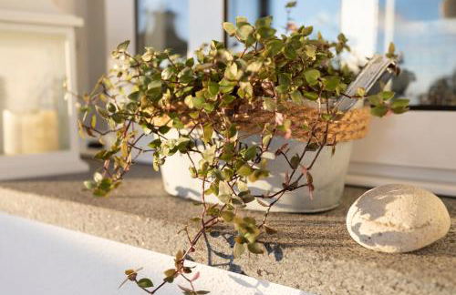 Stay in our Cozy and Wonderful Casa da Rosinha - Photo 31