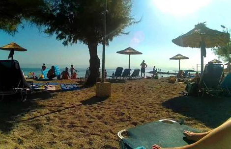 Marika Garden Studios - Foto 14