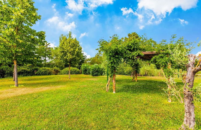 Rustic Farmhouse in Terricciola - Foto 31