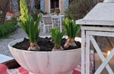 Casadesergio - Photo 68