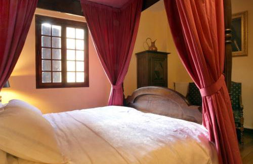 MAISON DE NOSTRADAMUS*** OCCITANIE INSOLITE - Foto 22