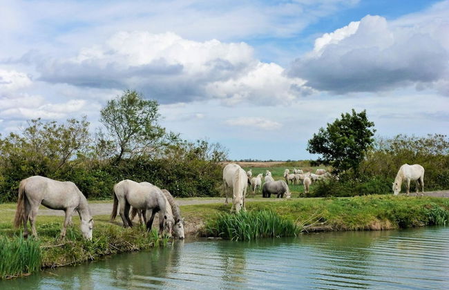 Country House With Private Terrace, Beaucaire - Foto 20