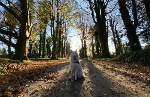 Blessingbourne Cottages & Apartments - Foto 134