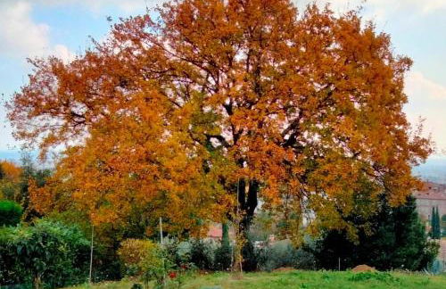 Il colle dei Frati - Foto 18