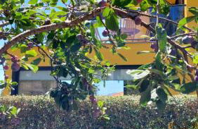 Villa Strelitzia - Foto 34