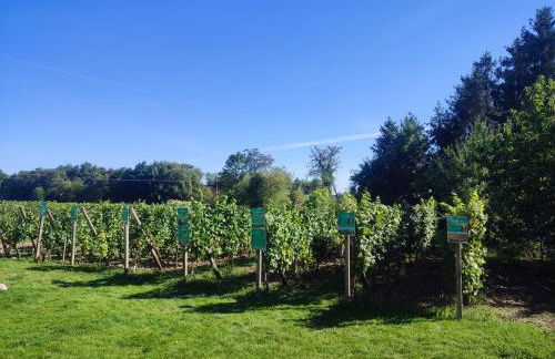 Alsace Chalet & Spa Meyer-Krumb - Foto 13