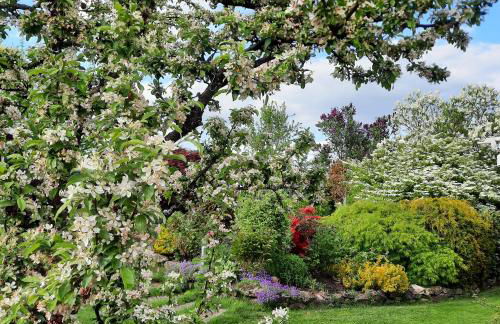 Ferienwohnung Kirsch - Foto 24