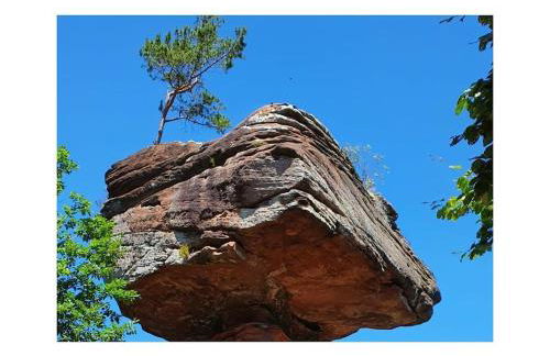 Holiday home Korn am Bärensteig - Foto 28