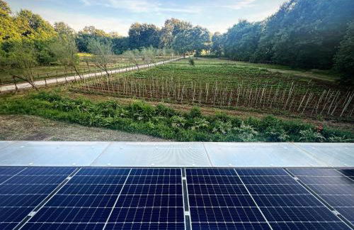 La Noce di Creta - Foto 37