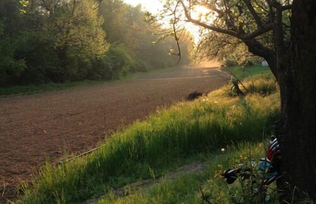 Agriturismo Cascina degli Ulivi - Foto 13