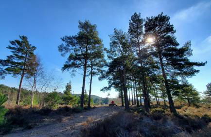 The Cedarwoods - luxury for up to 5 and your woof! - Photo 10