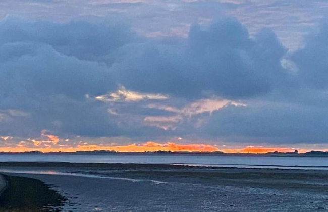 Holiday Home in Scherpenisse With Sauna - Photo 40