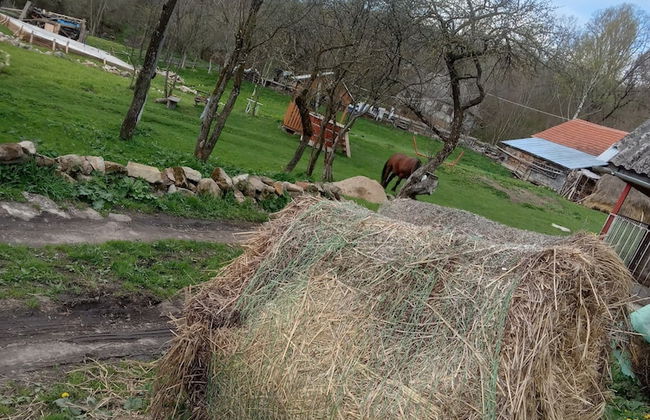 Room in Guest Room - Cozy Rural Retreat in Roşia Montana - Photo 60