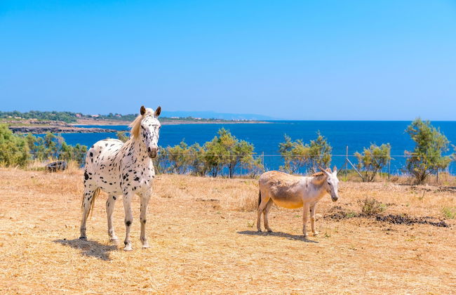 Skinos ilivatos Boutique Eco Villa - Foto 36